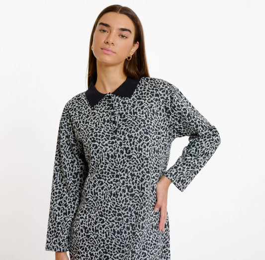 Grey leopard