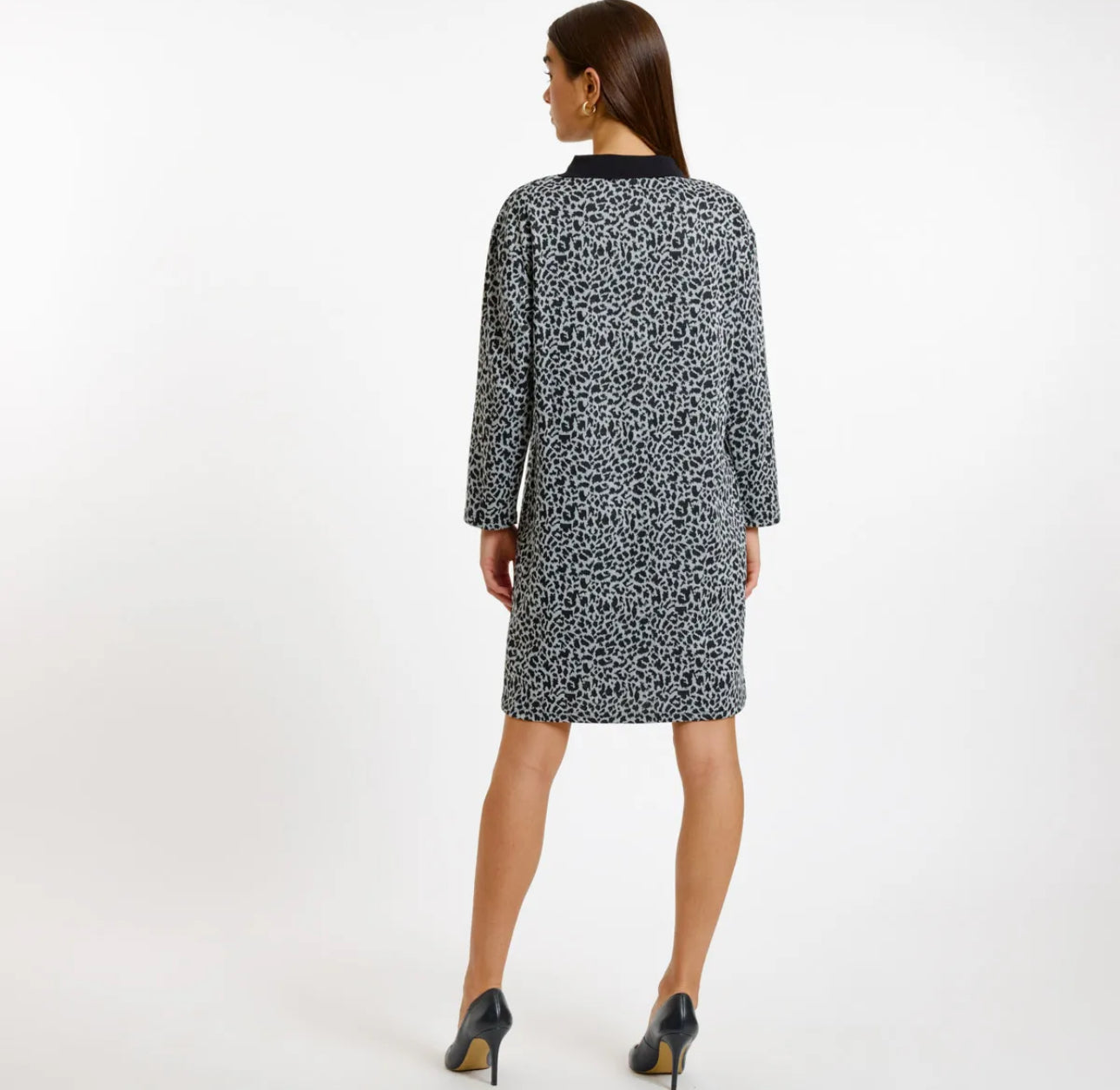 Grey leopard