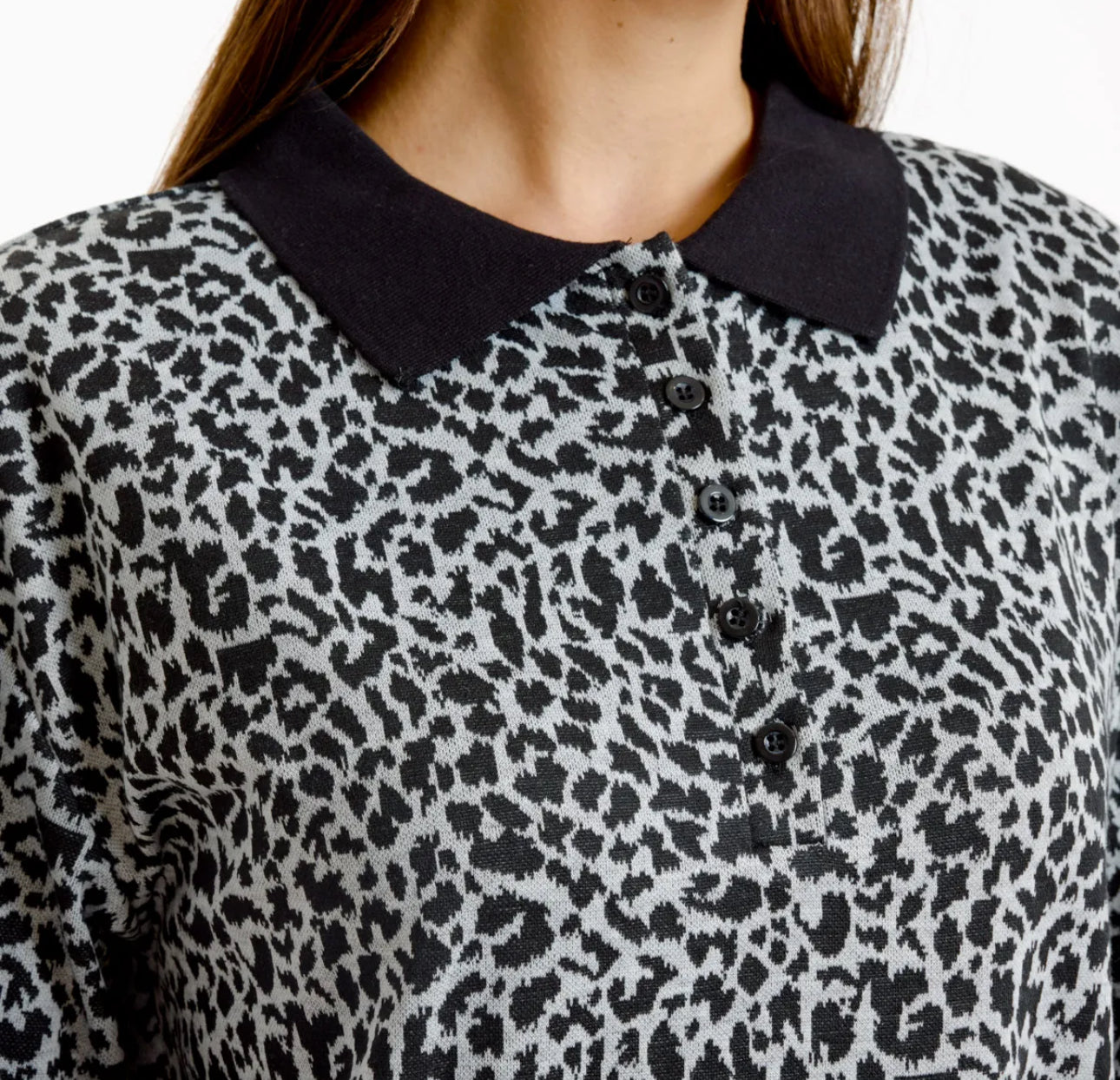 Grey leopard